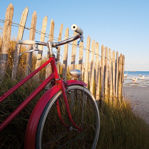 Cycling and walking around Noordwijk