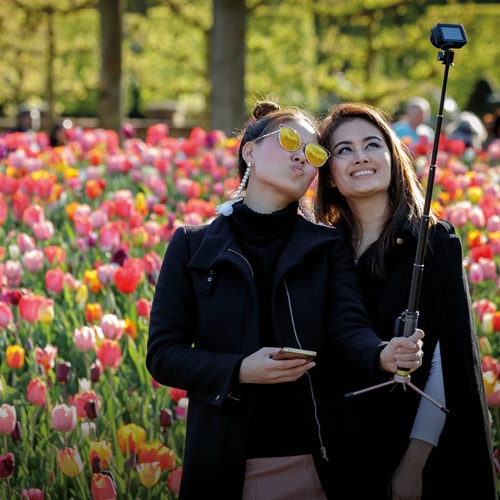 girls in Tulip fields