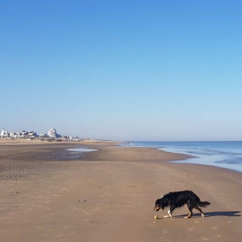 The Beach of Noordwijk