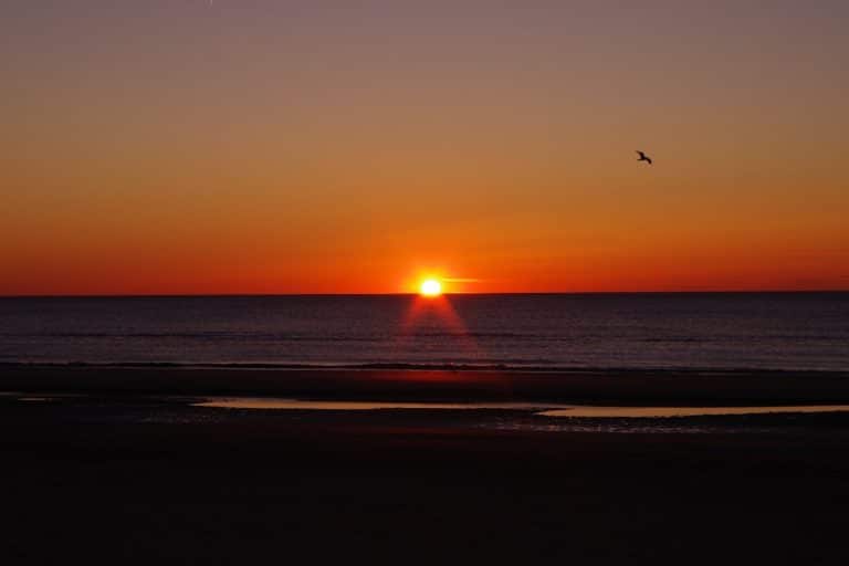 July in Noordwijk