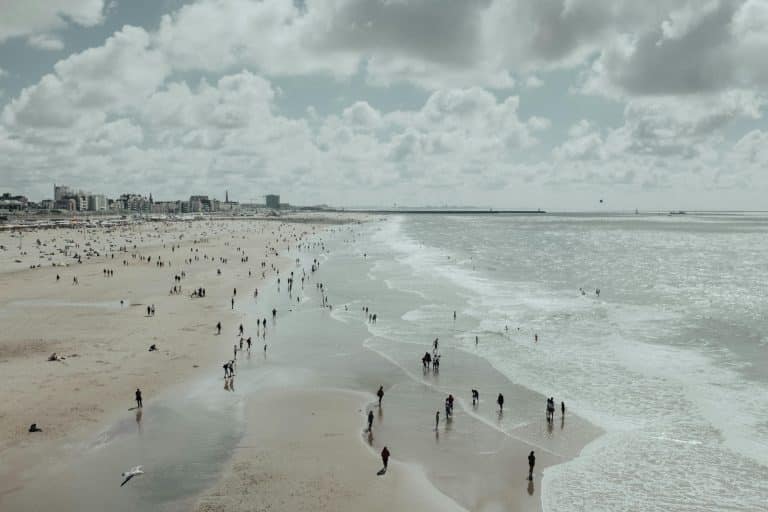 The beaches, nature and towns of the Dutch West Coast