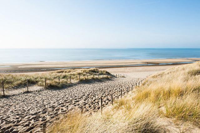 Hiking through the Coepelduynen dunes near Noordwijk in summer
