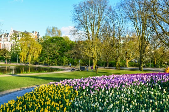 Dutch tulips, tulip garden and parks in the Netherlands